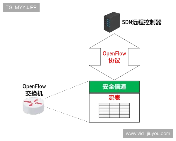 软件定义网络部署，提升传输灵活性